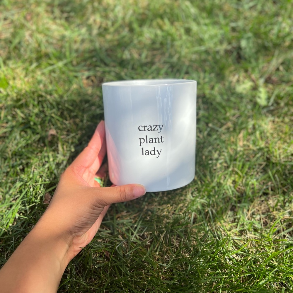 Plant Pot 🪴